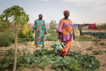 MAURITANIE, Nouakchott.
Ryadh, Nouakchott sud, Awa et Awa, agricultrices.